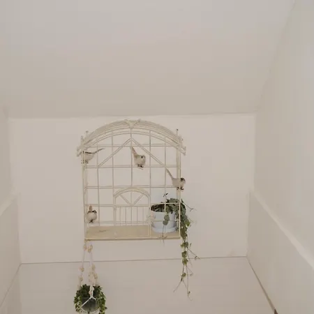 Bed & Breakfast De Vier Gezusters *